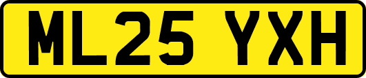 ML25YXH