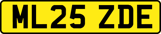 ML25ZDE