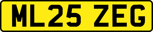 ML25ZEG