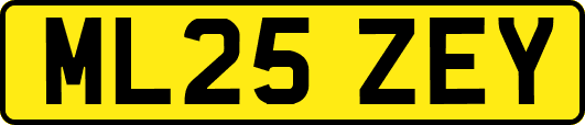 ML25ZEY