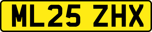 ML25ZHX