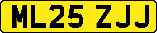 ML25ZJJ