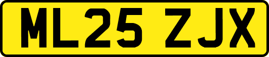 ML25ZJX