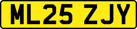 ML25ZJY