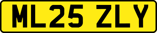 ML25ZLY