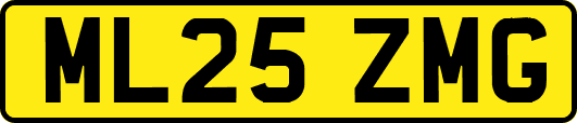 ML25ZMG