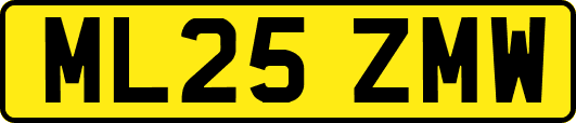 ML25ZMW