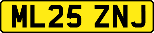 ML25ZNJ