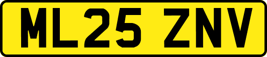 ML25ZNV