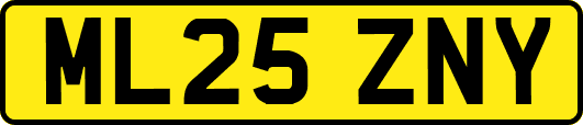 ML25ZNY