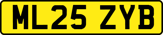 ML25ZYB