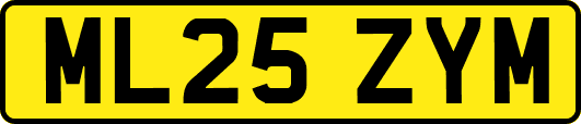 ML25ZYM