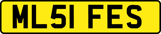 ML51FES