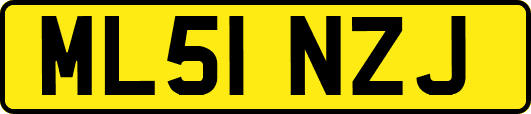 ML51NZJ