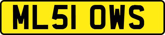 ML51OWS