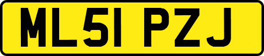ML51PZJ
