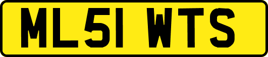 ML51WTS