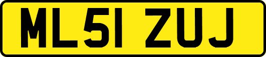 ML51ZUJ