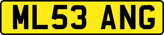 ML53ANG
