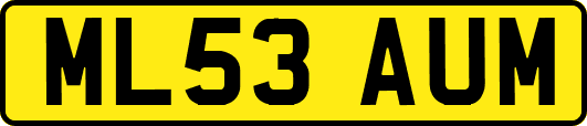 ML53AUM