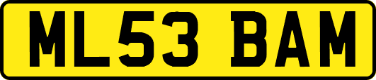 ML53BAM