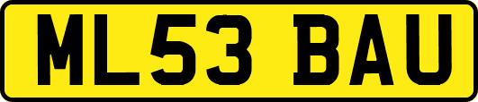 ML53BAU