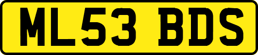 ML53BDS