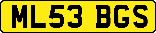 ML53BGS