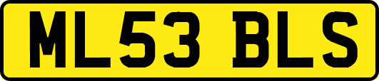 ML53BLS
