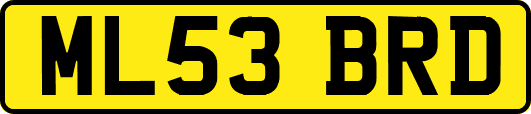 ML53BRD
