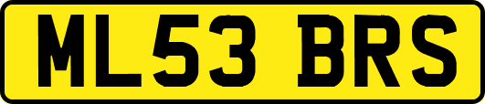 ML53BRS