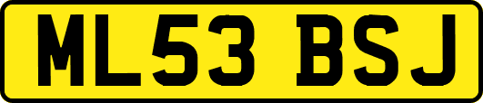ML53BSJ