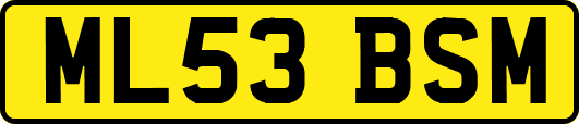 ML53BSM