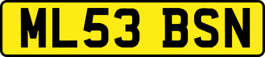 ML53BSN