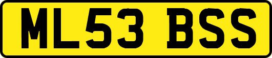 ML53BSS