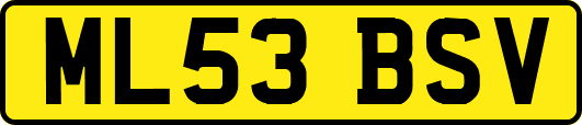 ML53BSV