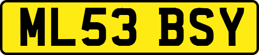 ML53BSY