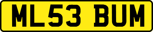 ML53BUM