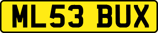 ML53BUX