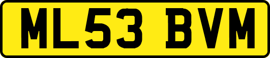 ML53BVM
