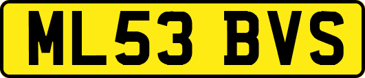ML53BVS