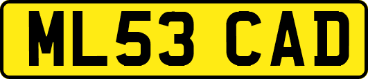 ML53CAD