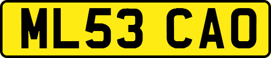 ML53CAO
