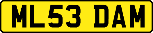 ML53DAM