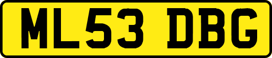 ML53DBG