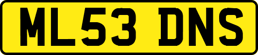 ML53DNS