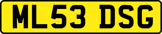 ML53DSG