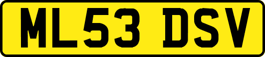 ML53DSV
