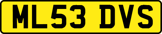 ML53DVS