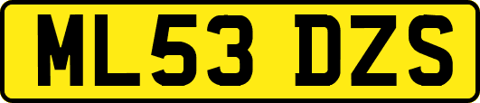 ML53DZS